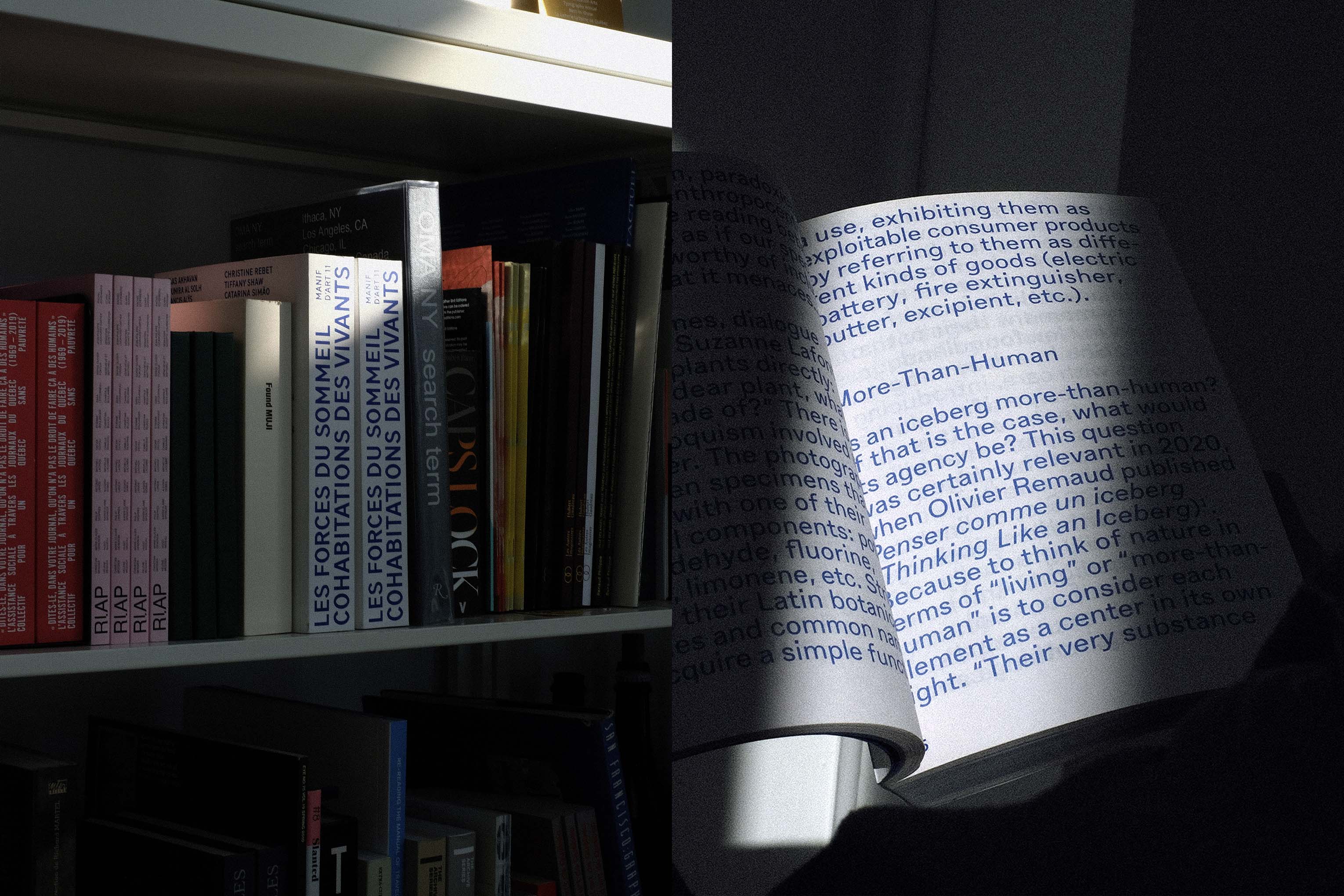 Les forces du sommeil : Cohabitations des vivants, Manif d’art 11 - Manif d’art, Biennale d’art contemporain de Québec - Criterium