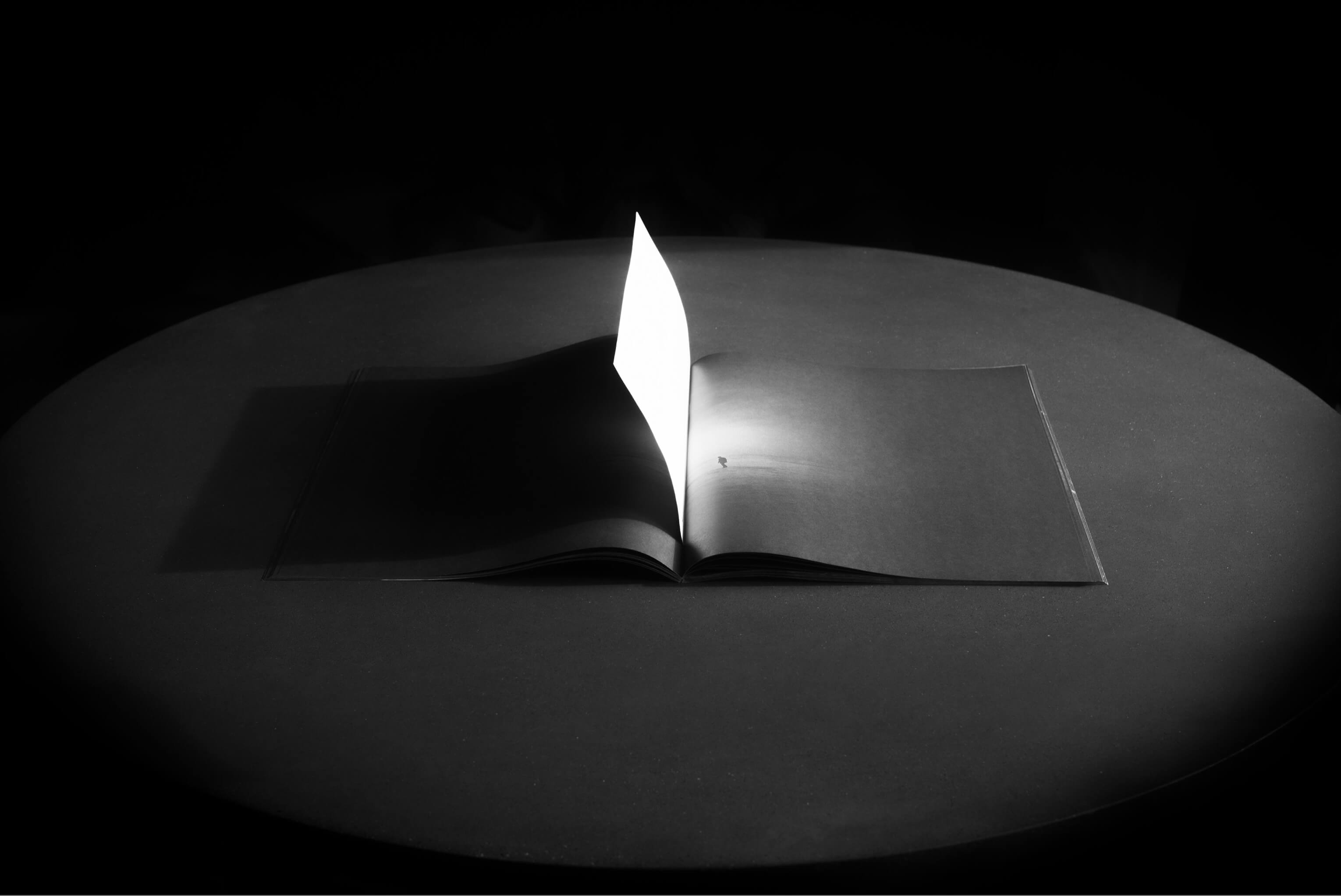 Rebâtir le ciel - Simon Emond, Michel Lemelin - Criterium