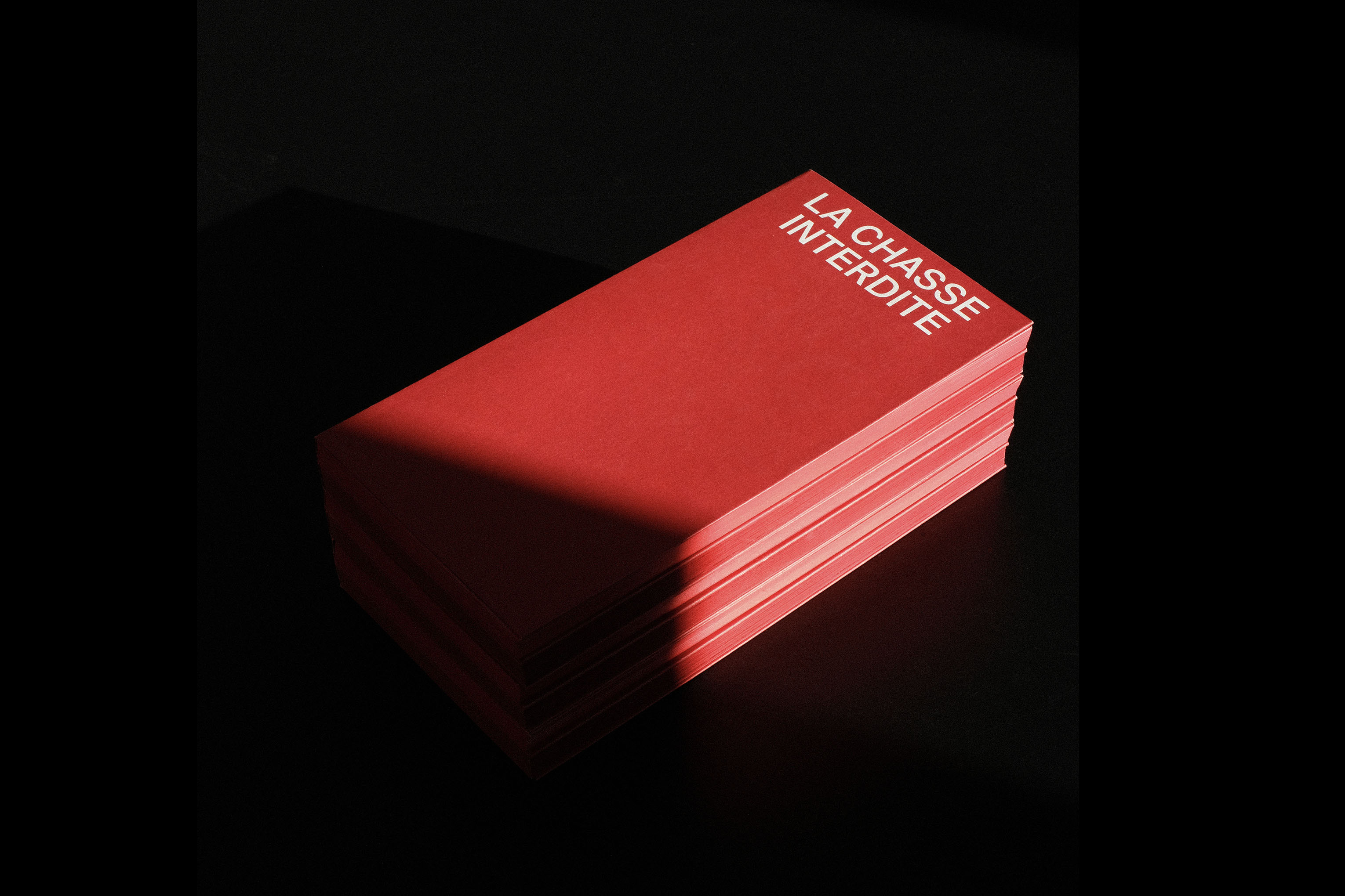 La chasse interdite - Nicolas Lachapelle, Cinéaste documentaire canadien - Criterium