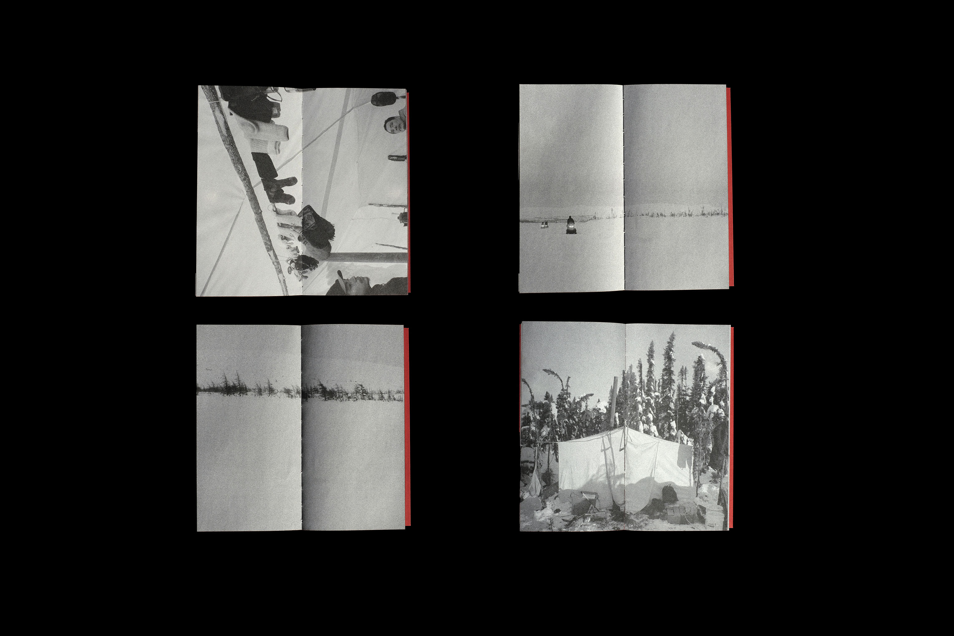 La chasse interdite - Nicolas Lachapelle, Cinéaste documentaire canadien - Criterium