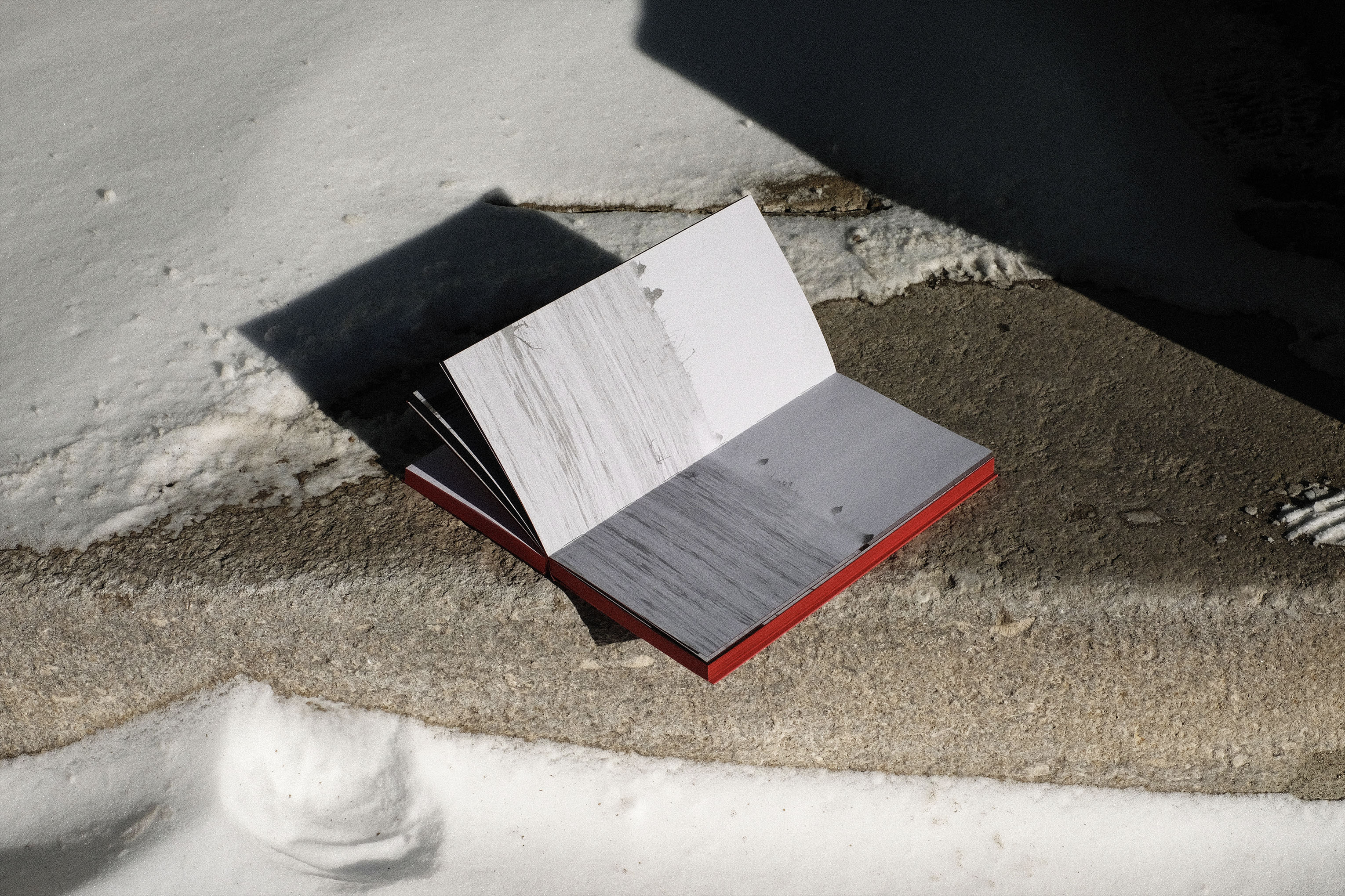 La chasse interdite - Nicolas Lachapelle, Cinéaste documentaire canadien - Criterium