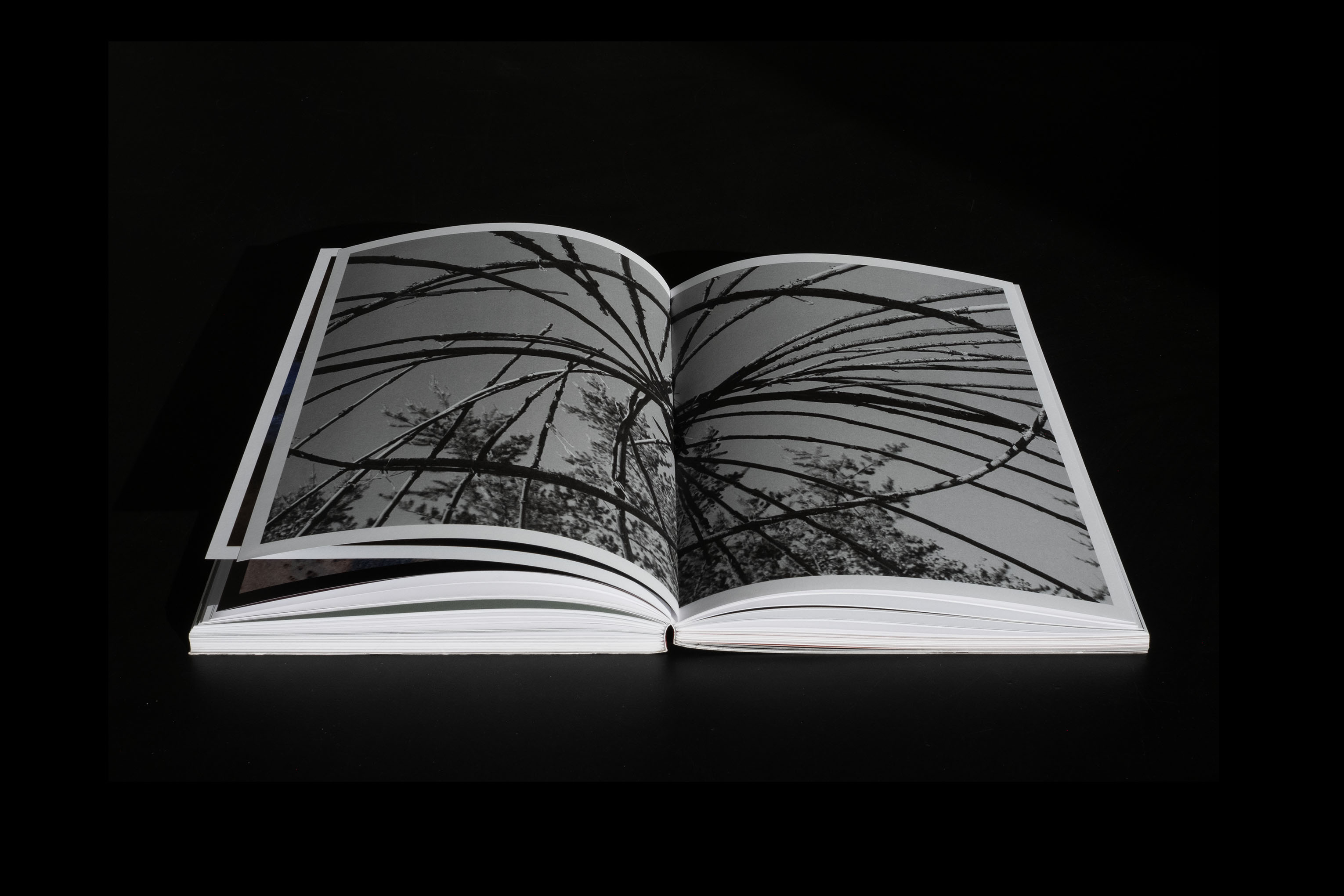 Je suis devenu le volcan - Reno Salvail - Criterium