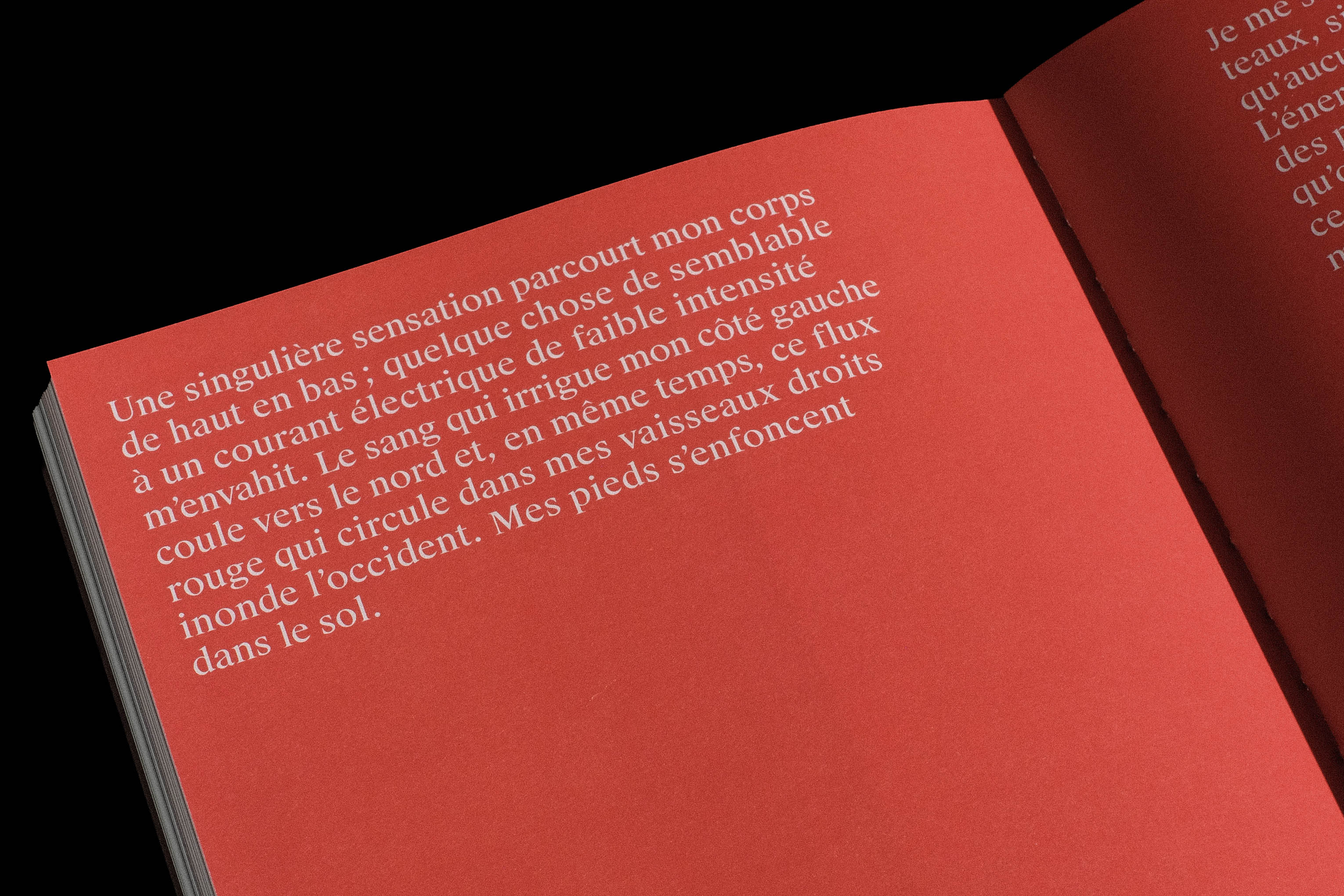 Je suis devenu le volcan - Reno Salvail - Criterium